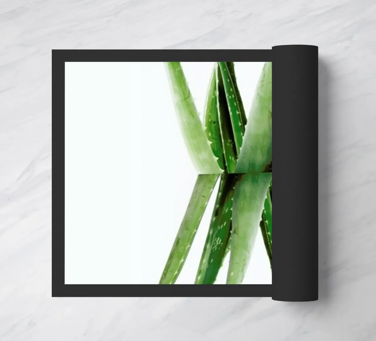 Aloe doormat by Miles of Light
