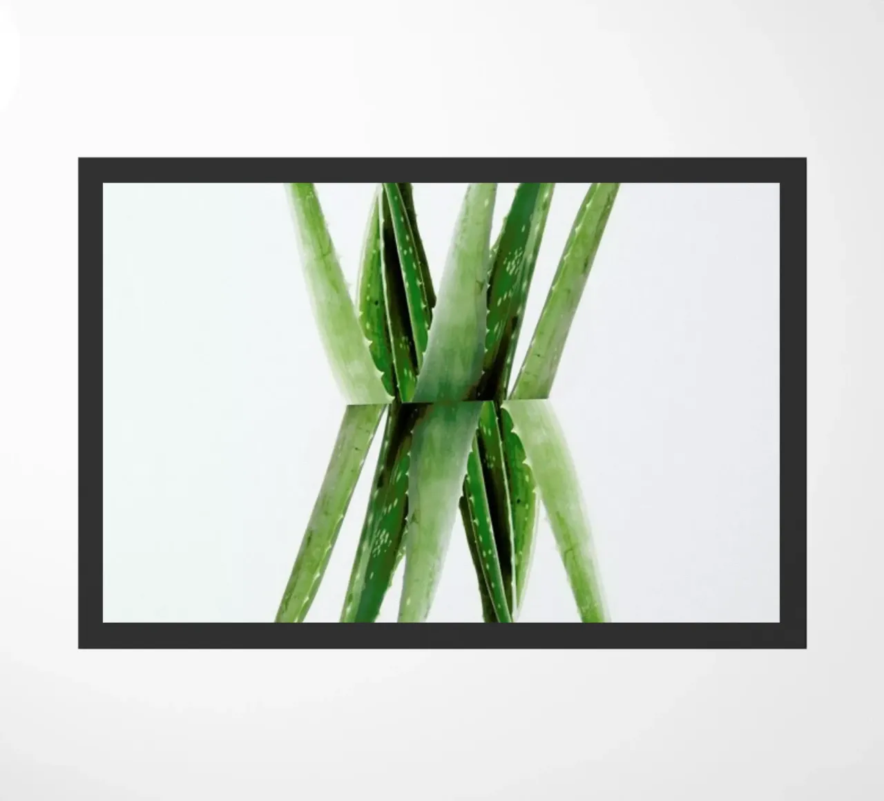 Aloe doormat by Miles of Light