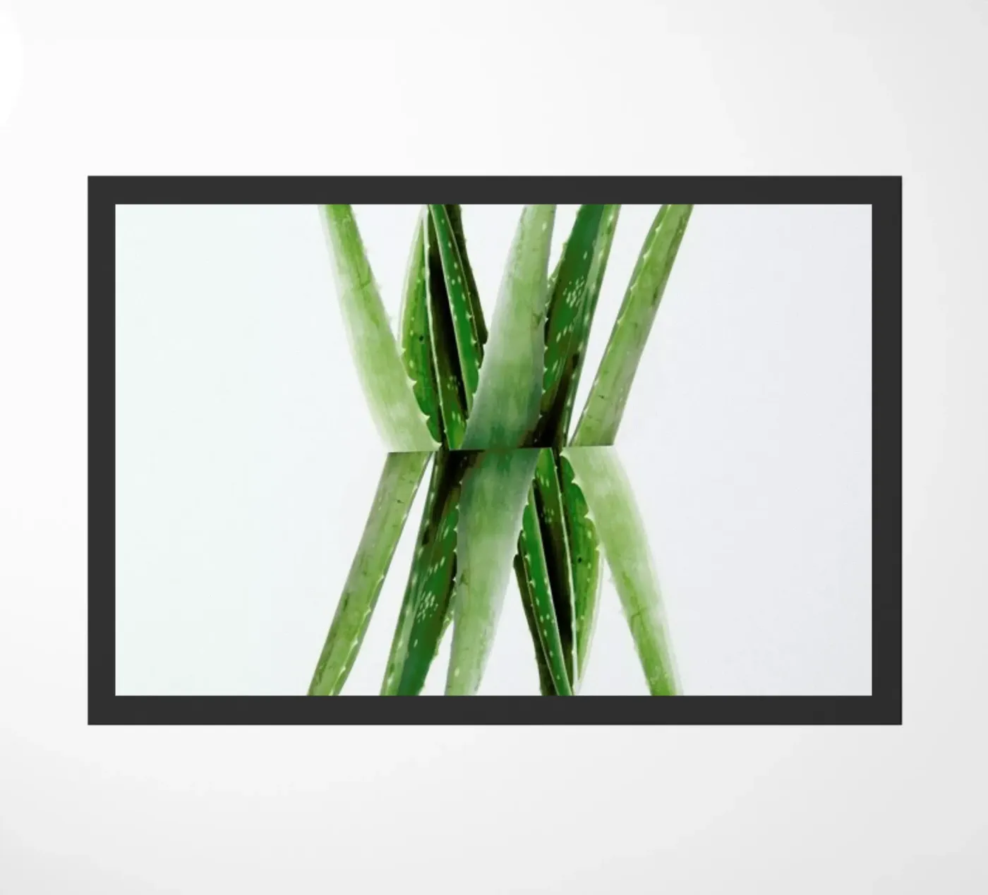 Aloe deurmat van Miles of Light