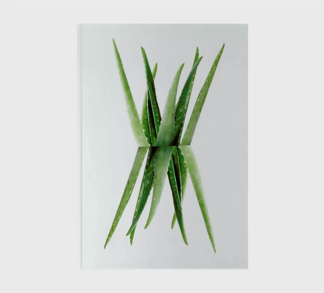 Aloe Notizbuch von Miles of Light