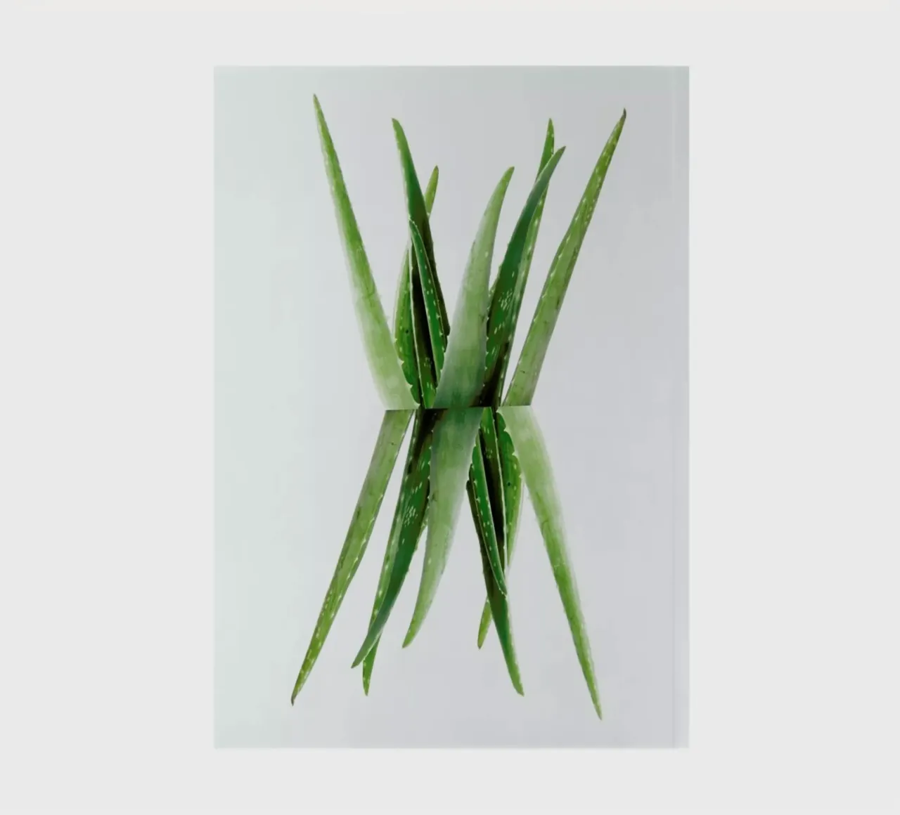 Aloe Notizbuch von Miles of Light
