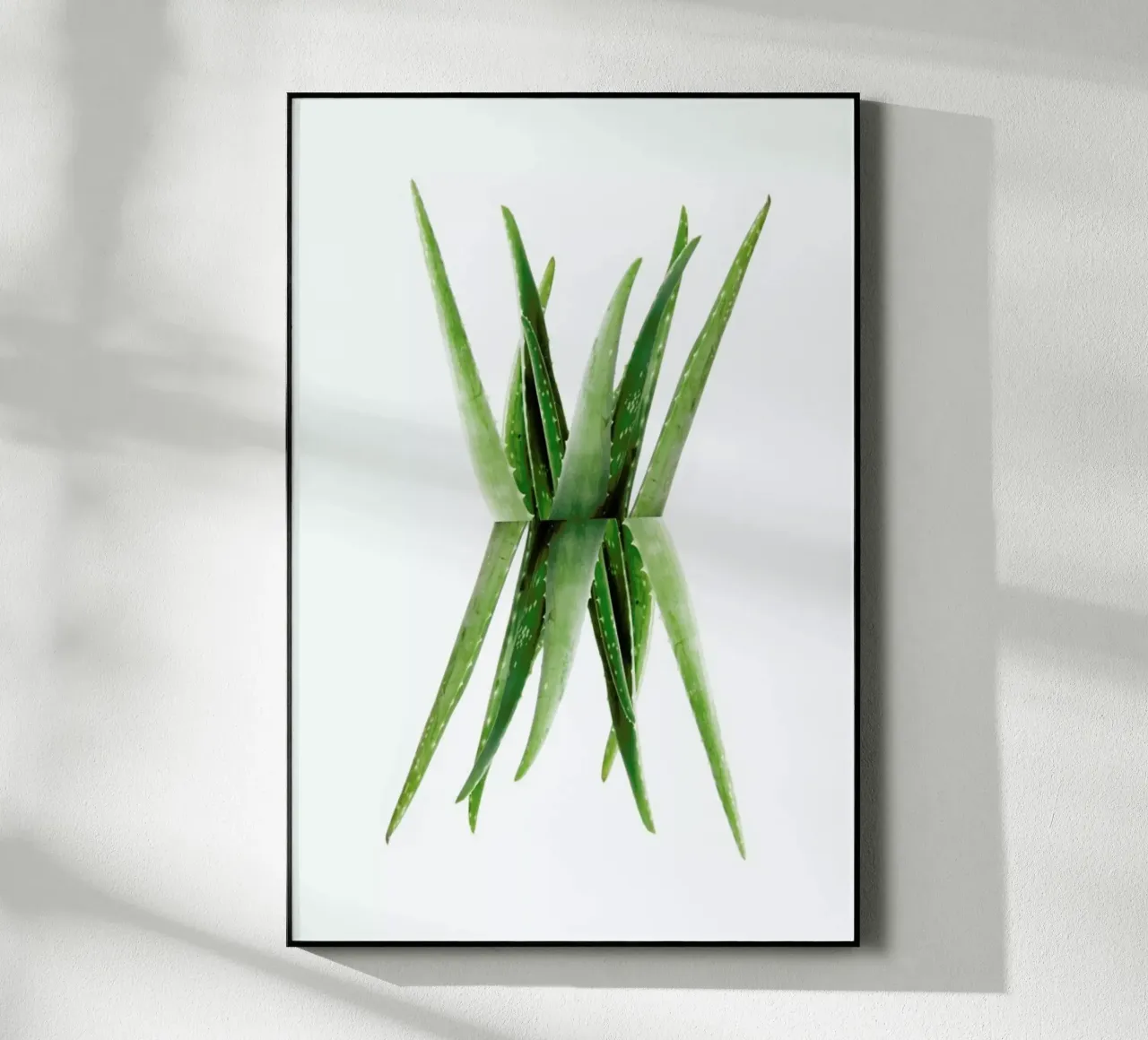 Aloe plexiglass da Miles of Light