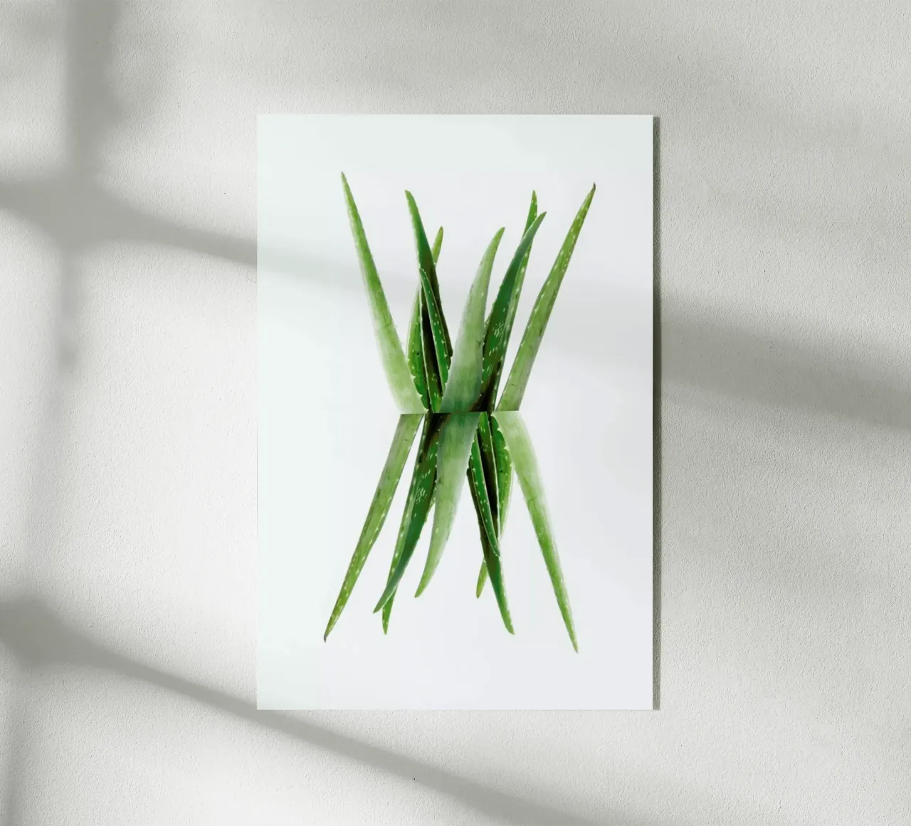 Aloe plexiglass da Miles of Light