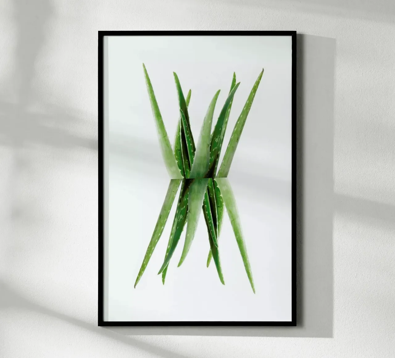 Aloe poster con telaio in plastica da Miles of Light