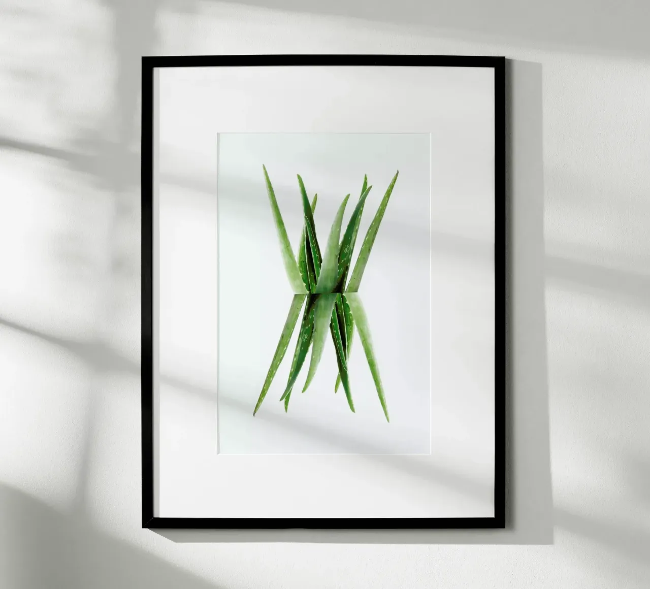 Aloe poster con telaio in plastica da Miles of Light