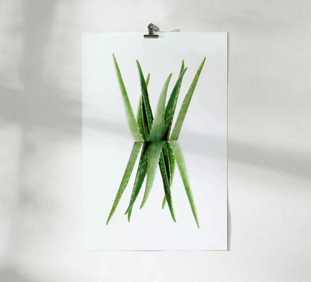 Aloe poster con telaio in plastica da Miles of Light