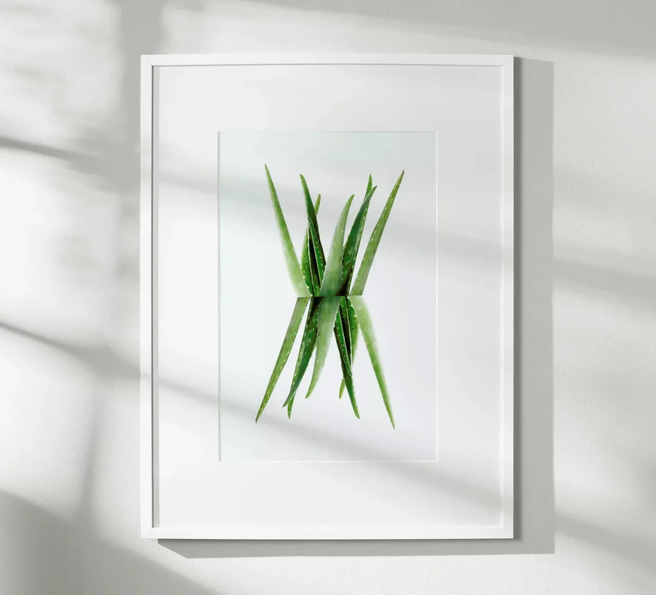 Aloe poster con telaio in plastica da Miles of Light