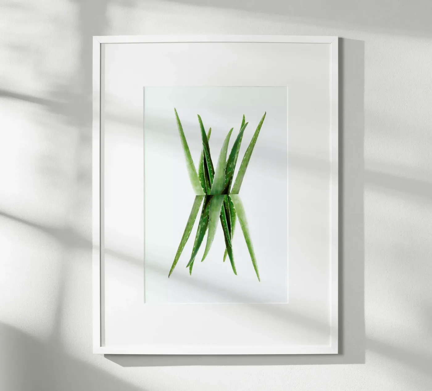 Aloe poster by Miles of Light