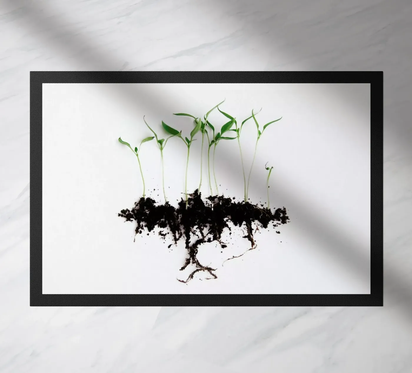 Pepper Sprouts zerbino da Miles of Light