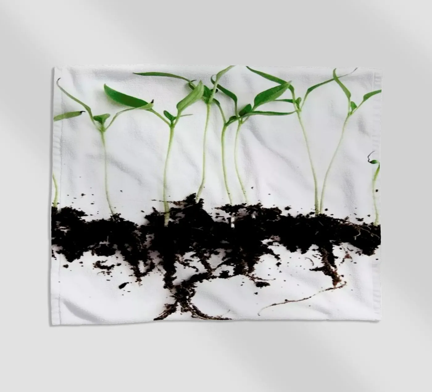 Pepper Sprouts Strandtuch von Miles of Light
