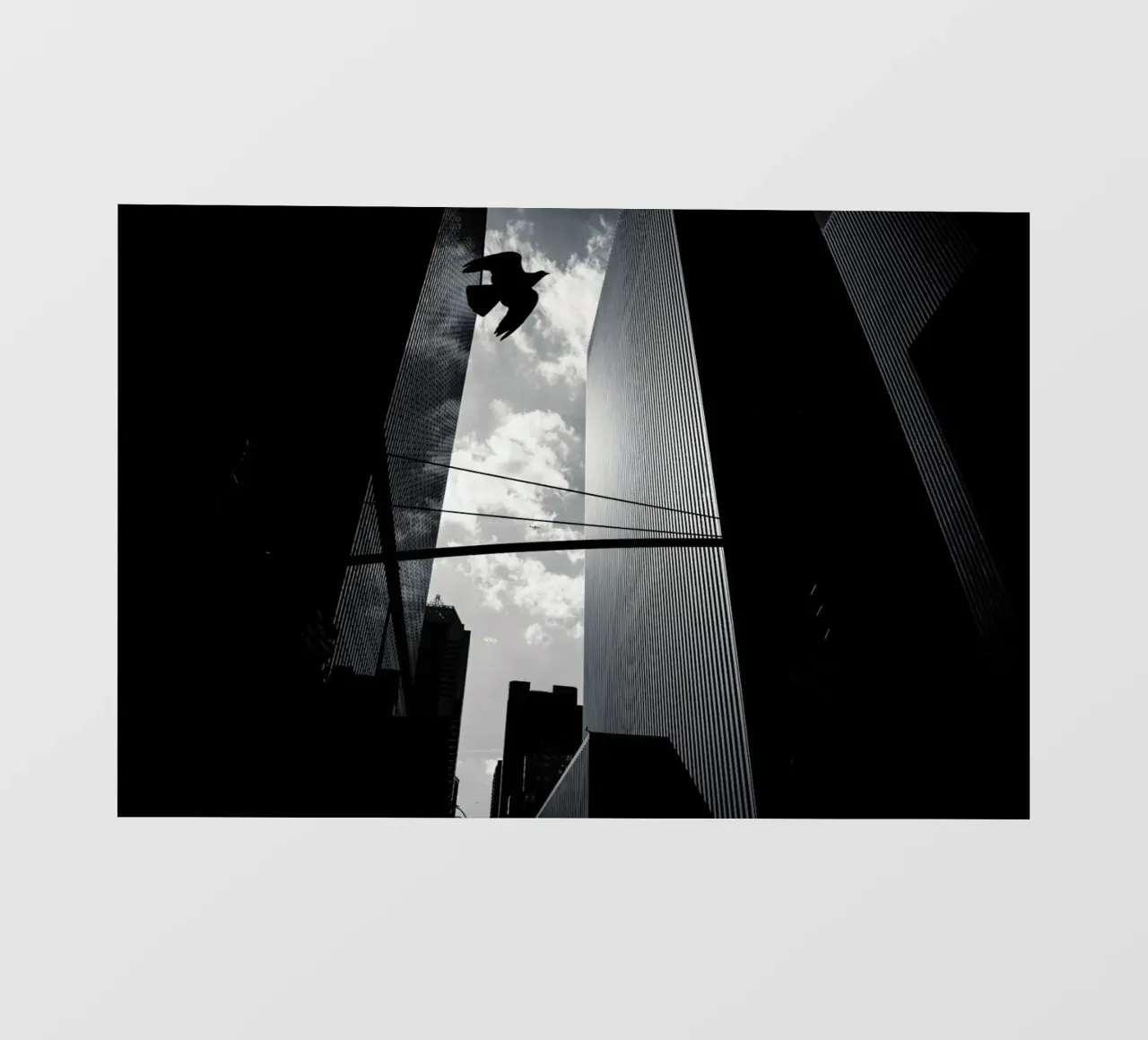 Bird in New York pellicola backlit da Flo Klein