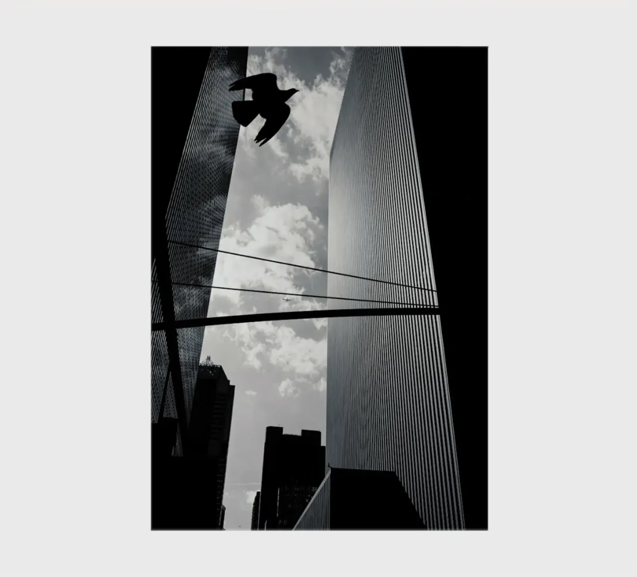 Bird in New York carnet de notes de Flo Klein