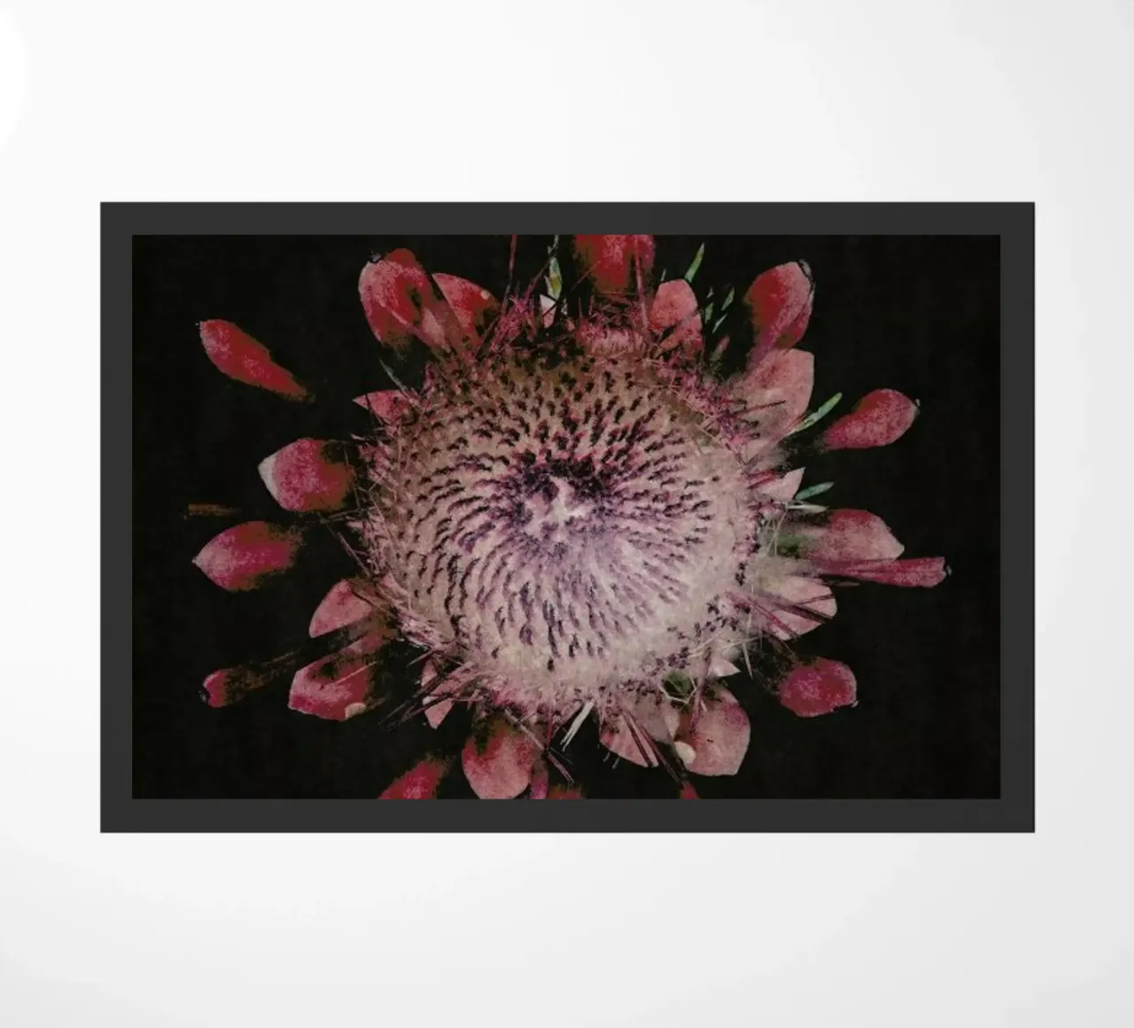 Fynbos Protea doormat by Shot By Clint
