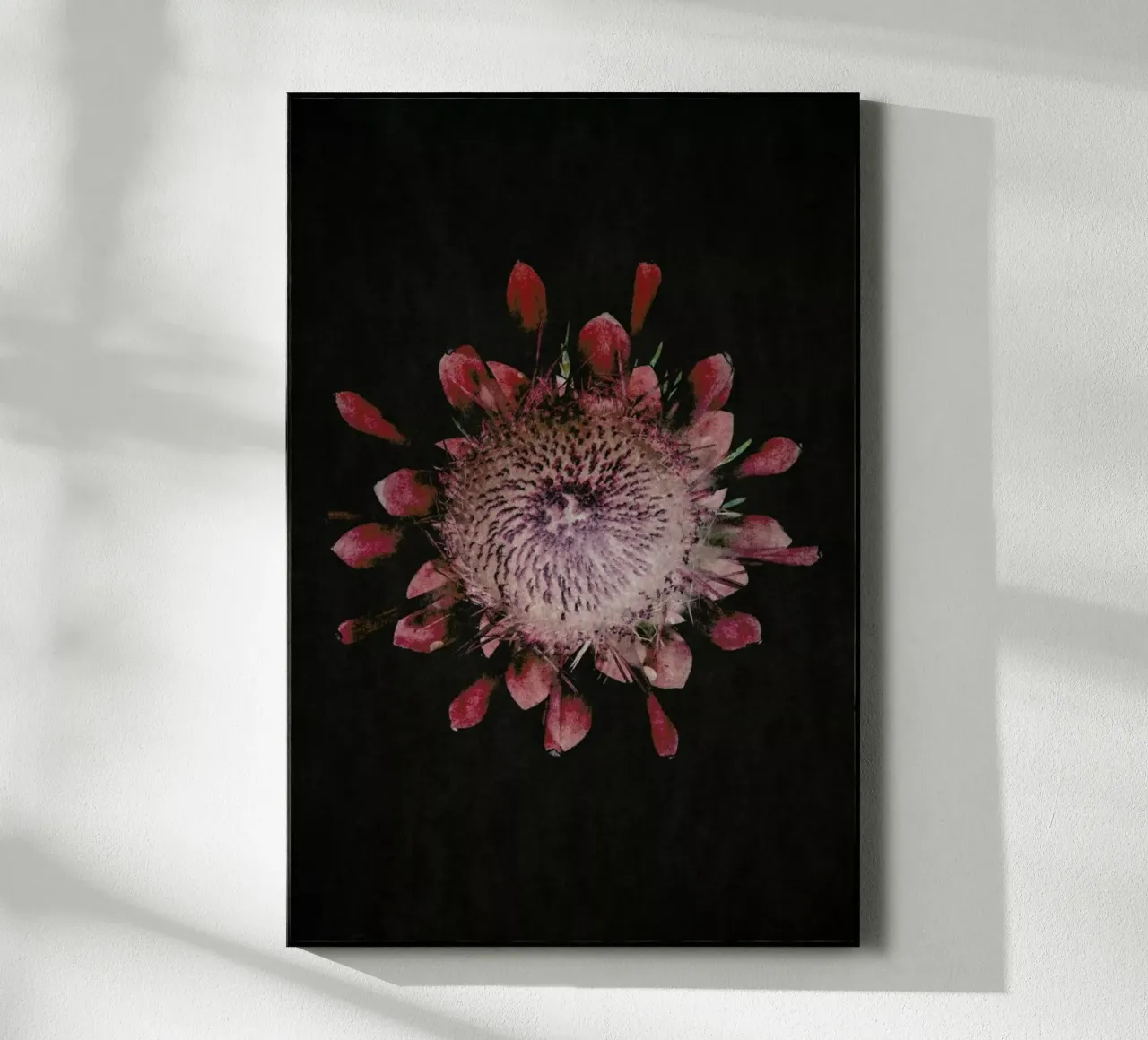 Fynbos Protea plexiglass da Shot By Clint