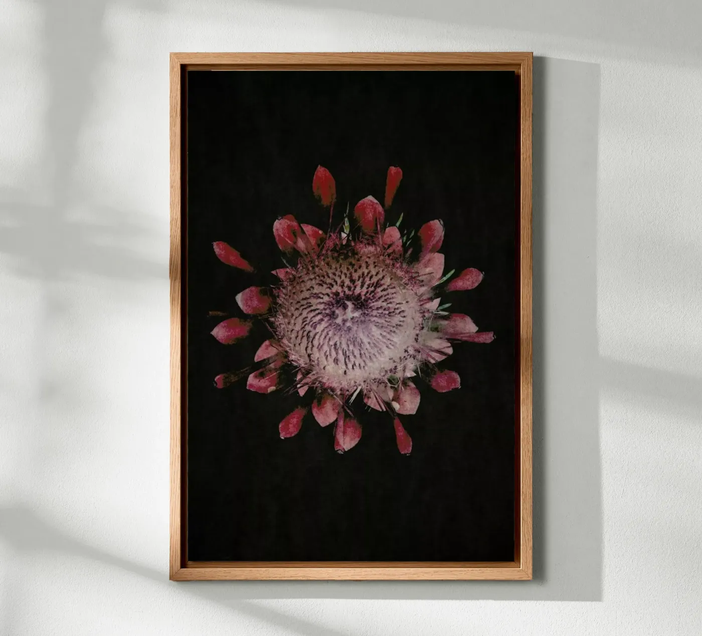 Fynbos Protea canvas by Shot By Clint