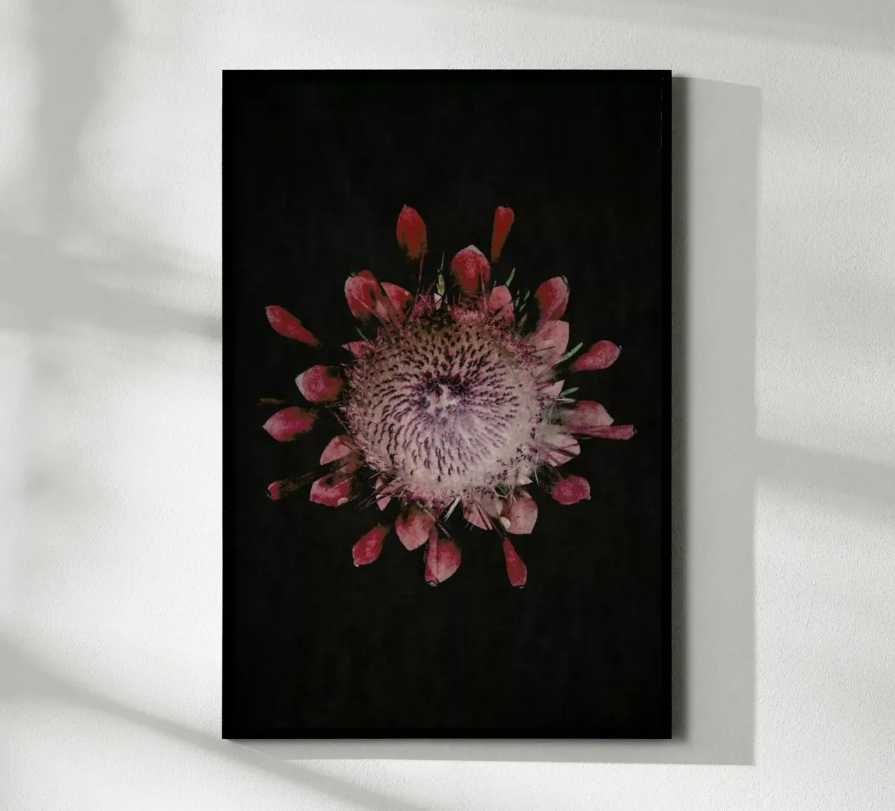 Fynbos Protea poster con telaio in plastica da Shot By Clint