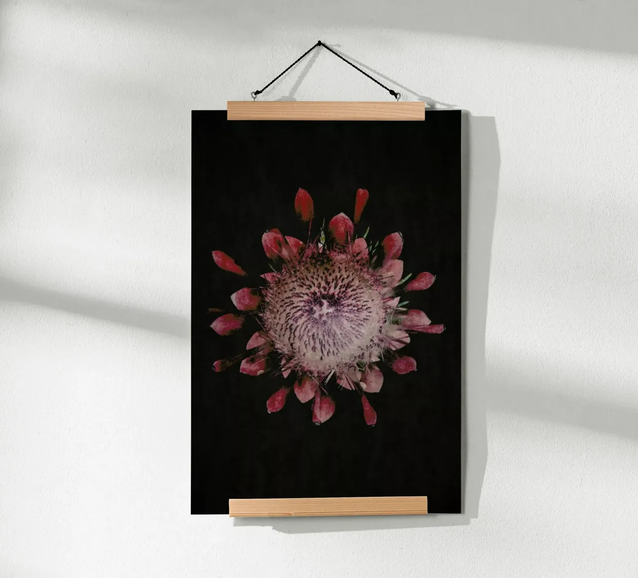 Fynbos Protea poster con telaio in plastica da Shot By Clint