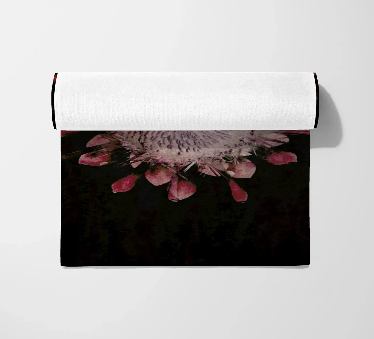 Fynbos Protea telo mare da Shot By Clint