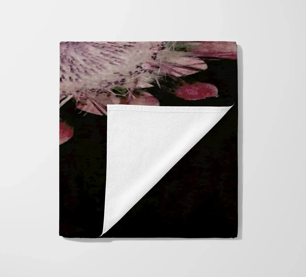 Fynbos Protea telo mare da Shot By Clint