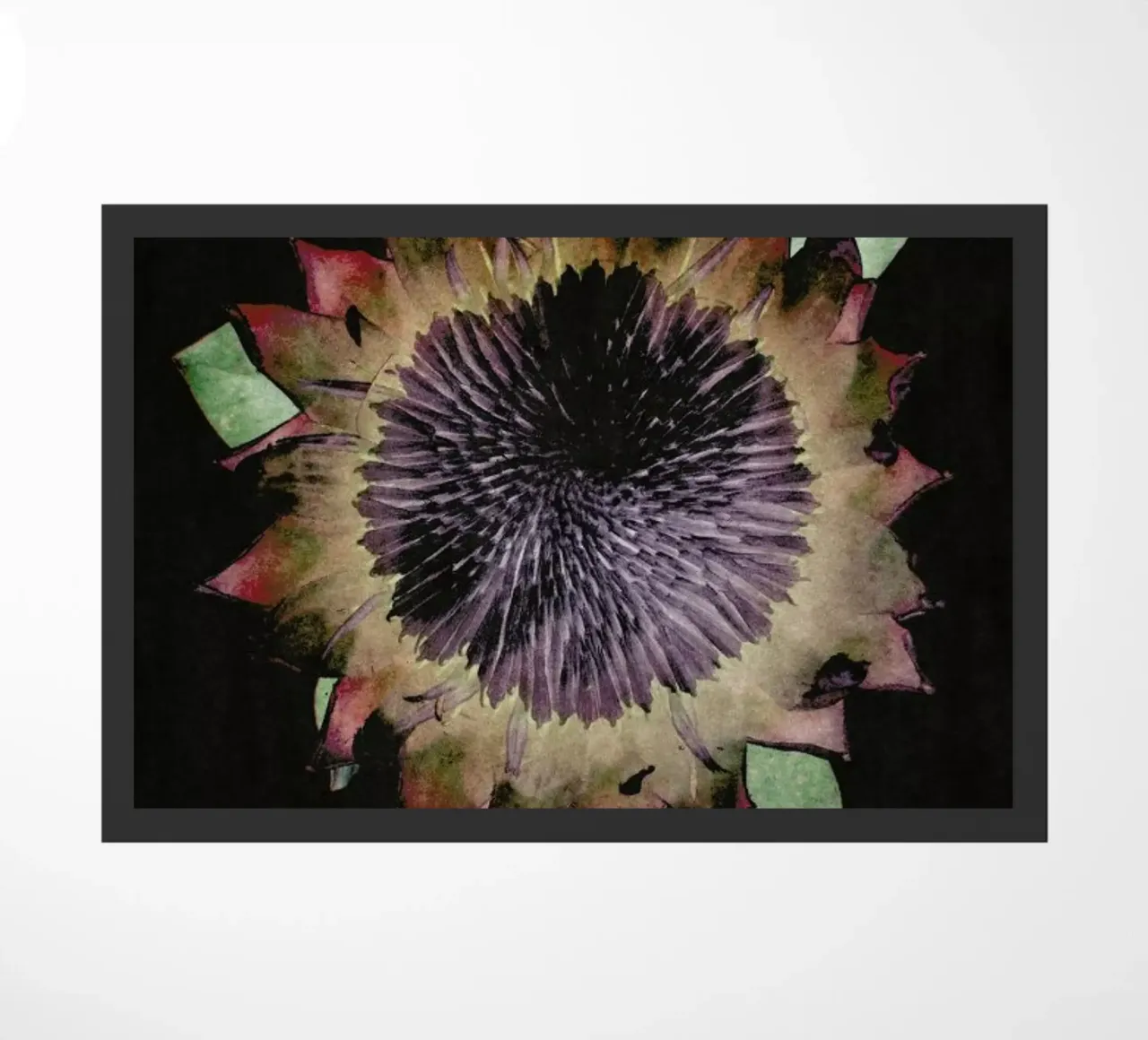 King Protea zerbino da Shot By Clint