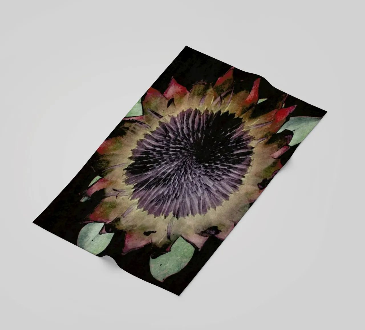 King Protea telo mare da Shot By Clint