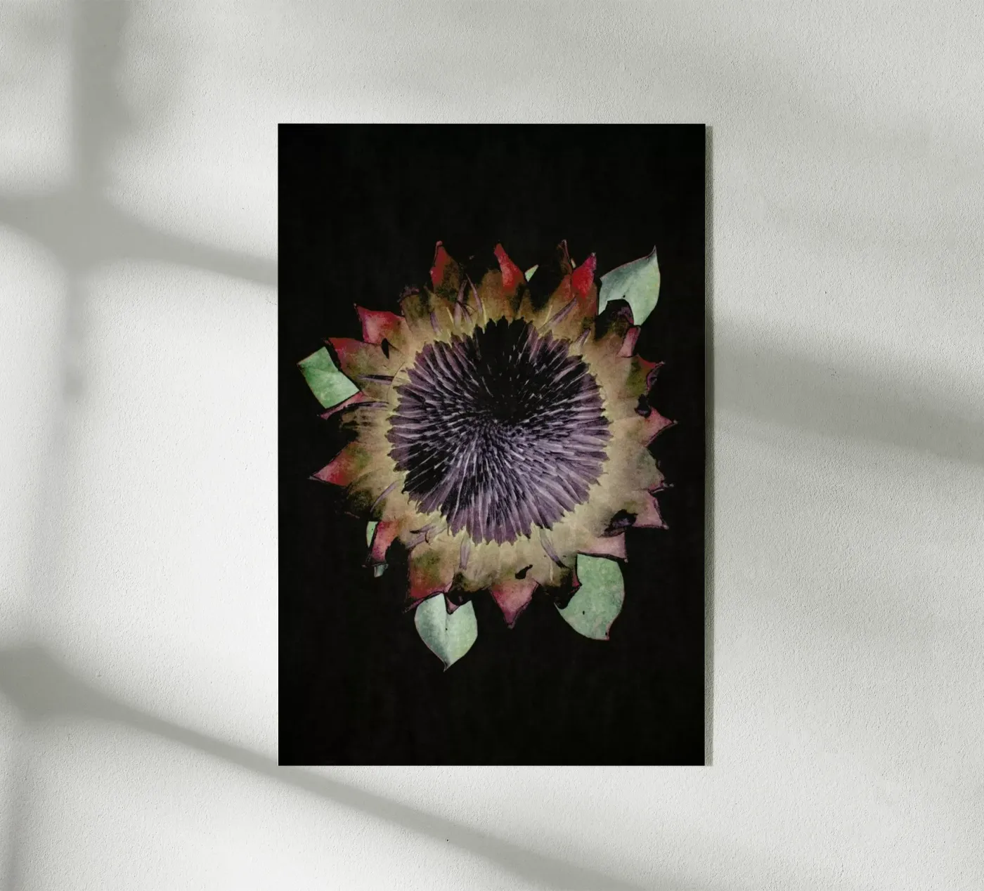 King Protea plexiglass da Shot By Clint