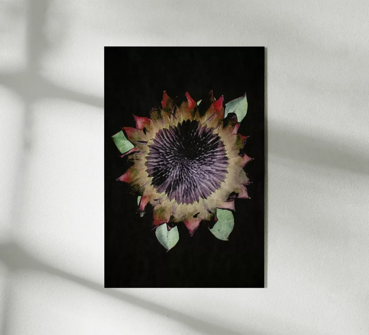 King Protea plexiglass da Shot By Clint