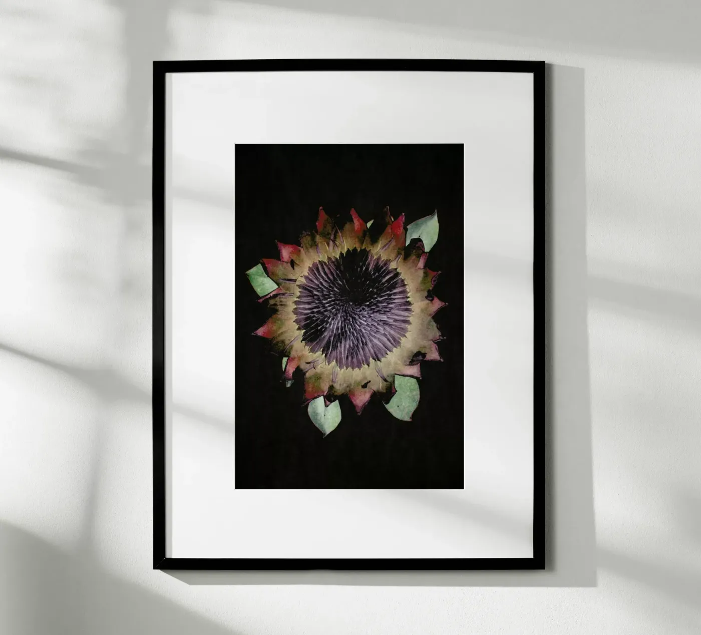King Protea poster by Shot By Clint