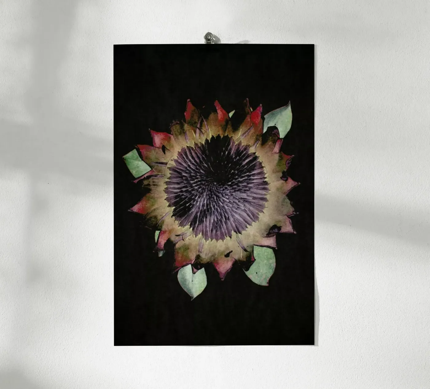 King Protea poster by Shot By Clint