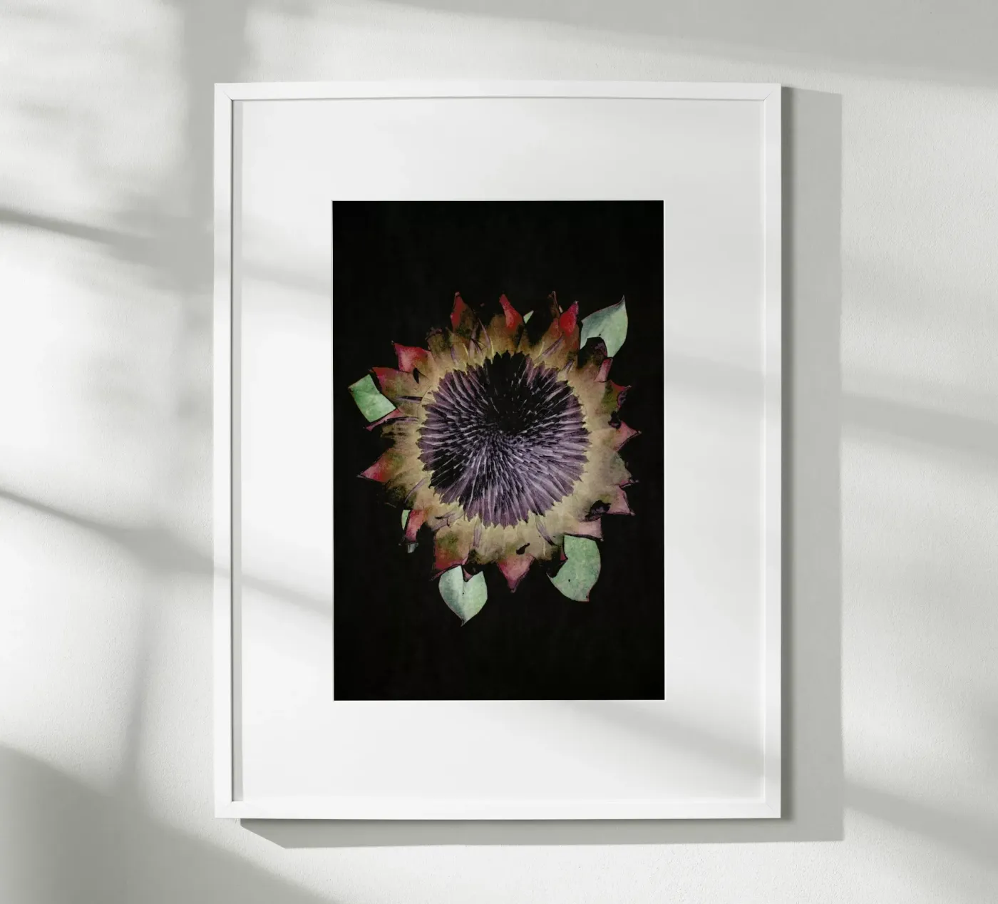 King Protea poster by Shot By Clint