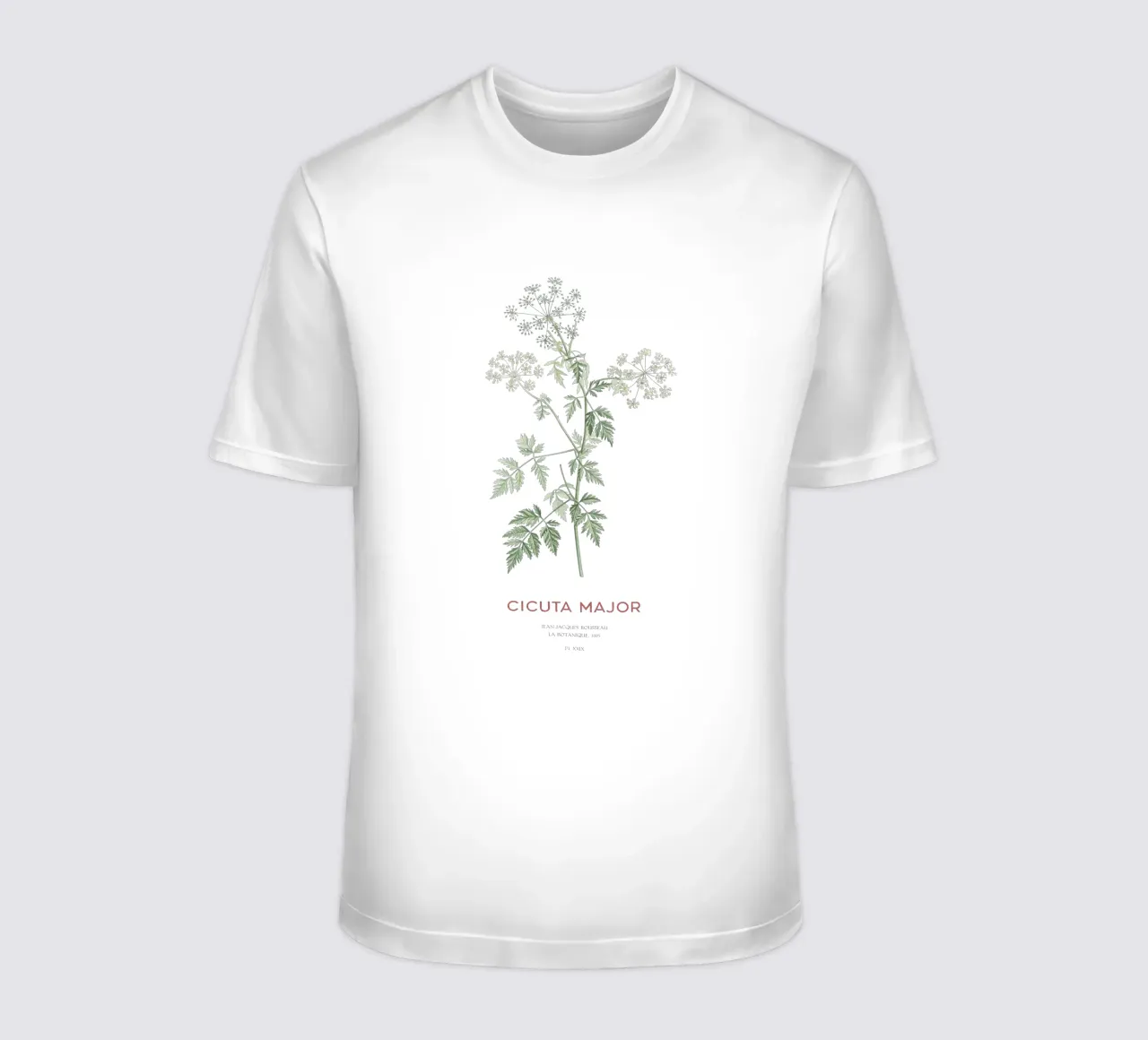 Cicuta selvatica o Cicuta major t-shirt da Vintagrafica