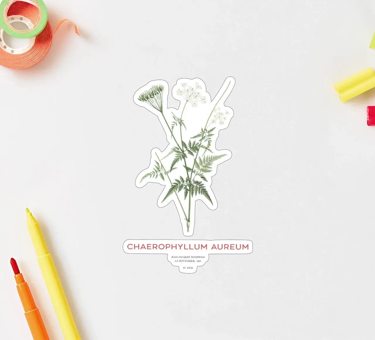 Goldkerbel oder Chaerophyllum aureum Sticker von Vintagrafica