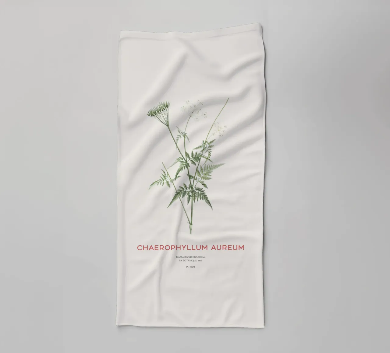 Cerfeuil doré ou Chaerophyllum aureum serviette de bain de Vintagrafica