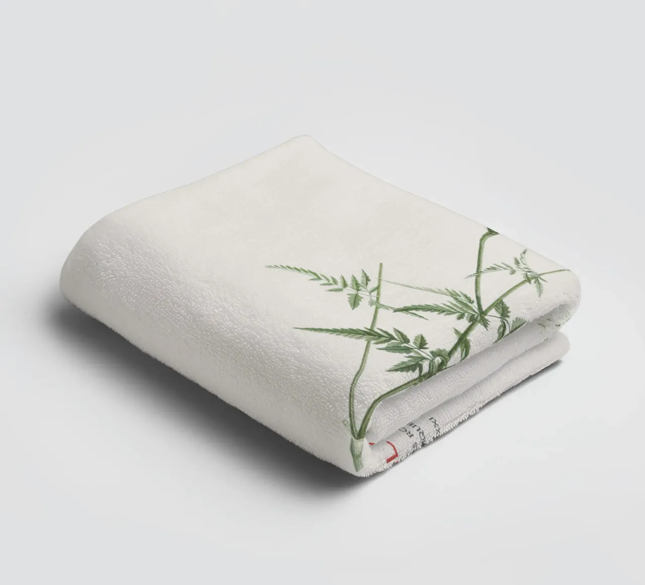 Cerfeuil doré ou Chaerophyllum aureum serviette de bain de Vintagrafica