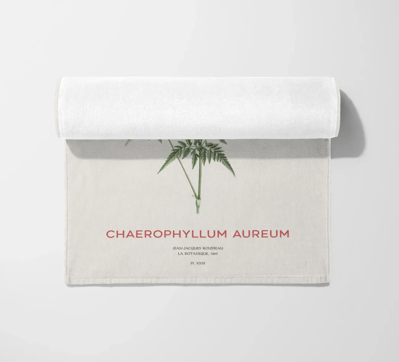 Cerfoglio dorato o Chaerophyllum aureum telo mare da Vintagrafica