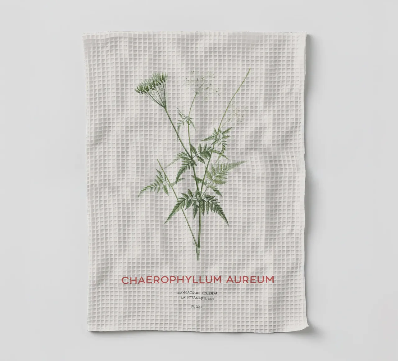 Goldkerbel oder Chaerophyllum aureum Geschirrtuch von Vintagrafica