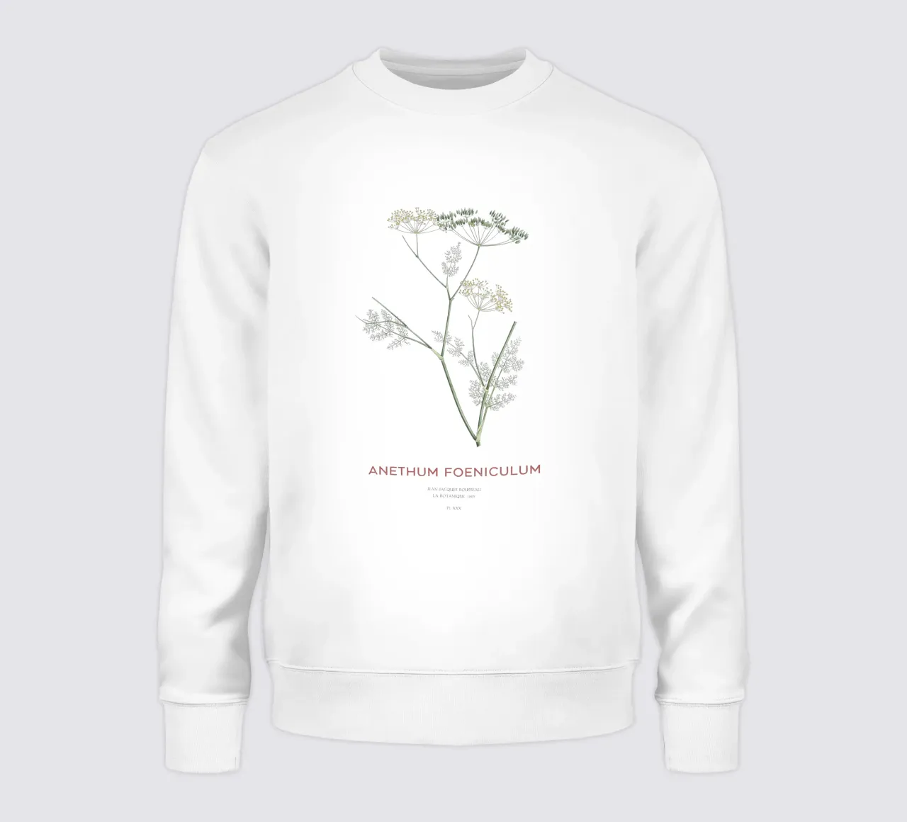 Finocchio o Anethum foeniculum felpa da Vintagrafica