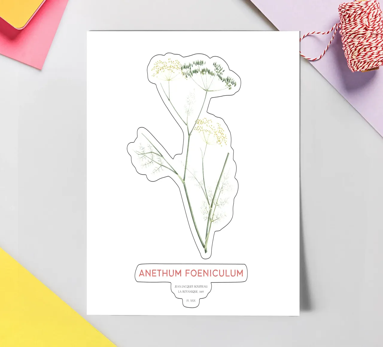 Fenchel oder Anethum foeniculum Stickerbogen von Vintagrafica
