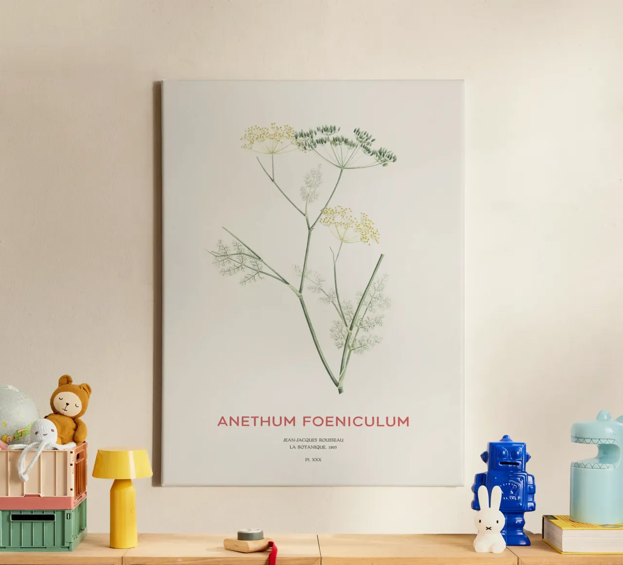 Fenchel oder Anethum foeniculum Leinwand von Vintagrafica