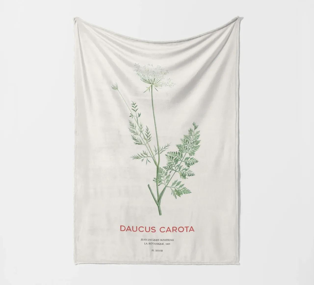 Wilde Möhre oder Daucus carota Fleecedecke von Vintagrafica