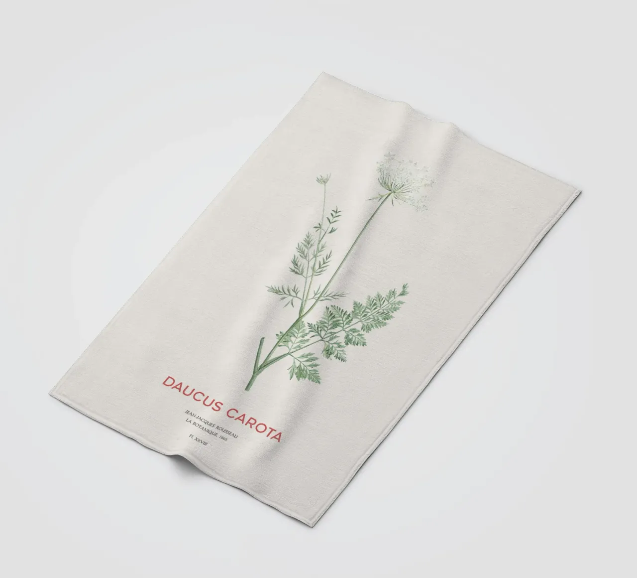 Wilde Möhre oder Daucus carota Fleecedecke von Vintagrafica
