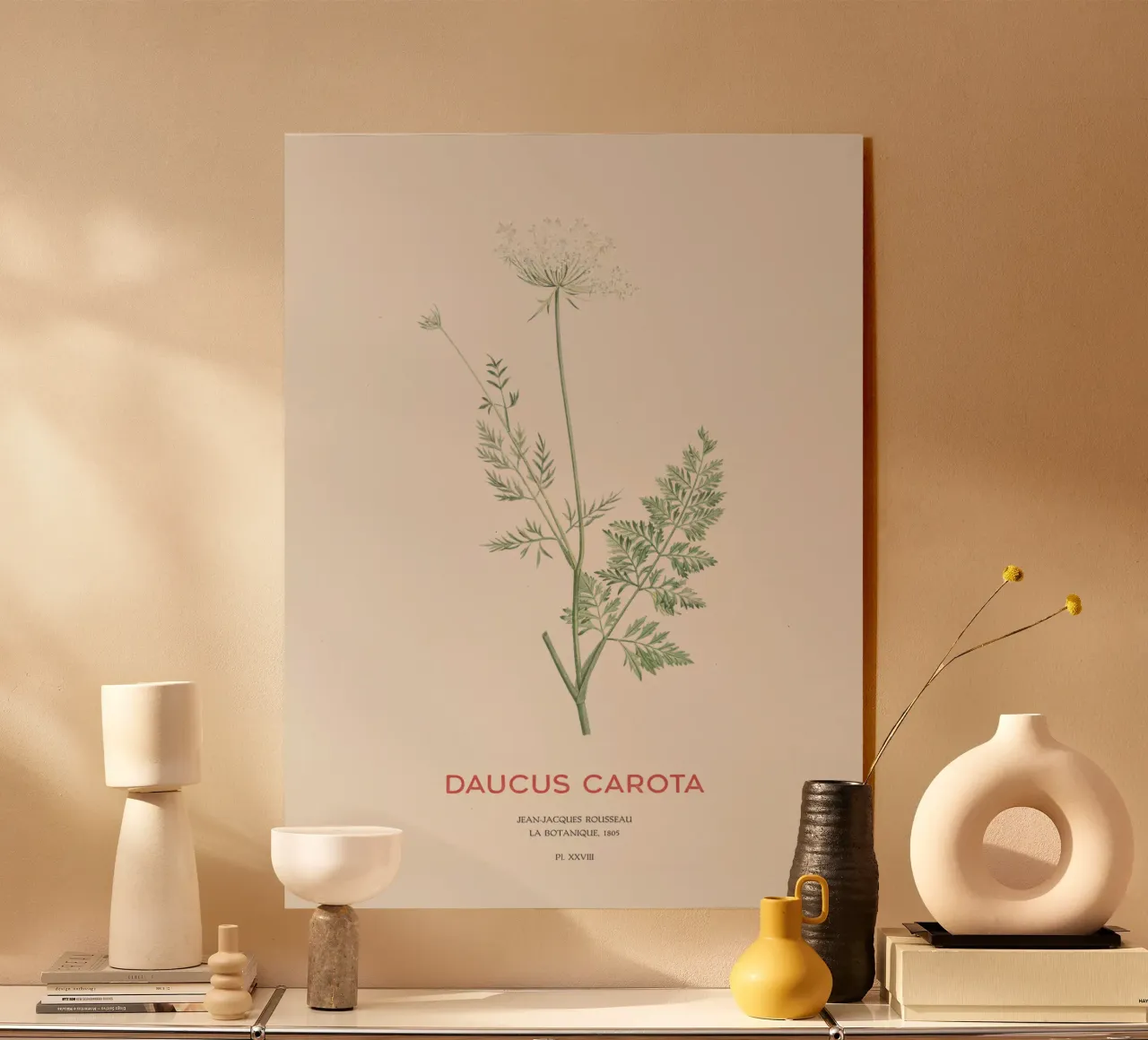 Wilde Möhre oder Daucus carota Acryl-Glas von Vintagrafica