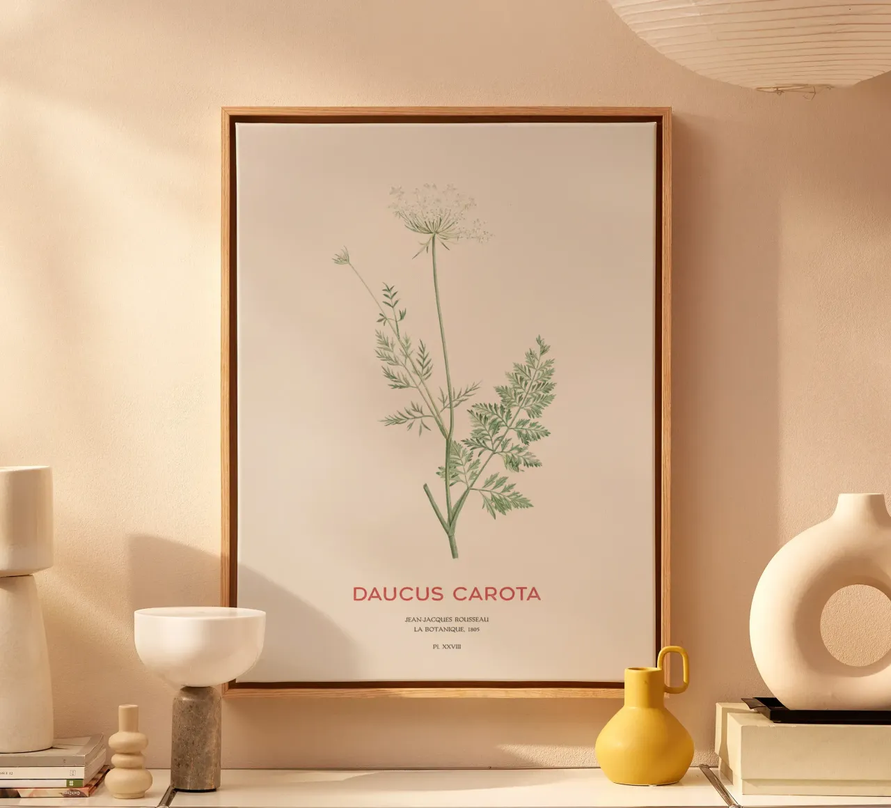 Wilde Möhre oder Daucus carota Leinwand mit Schattenfugenrahmen von Vintagrafica
