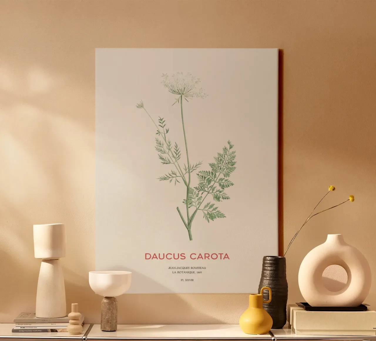 Wilde Möhre oder Daucus carota Leinwand mit Schattenfugenrahmen von Vintagrafica