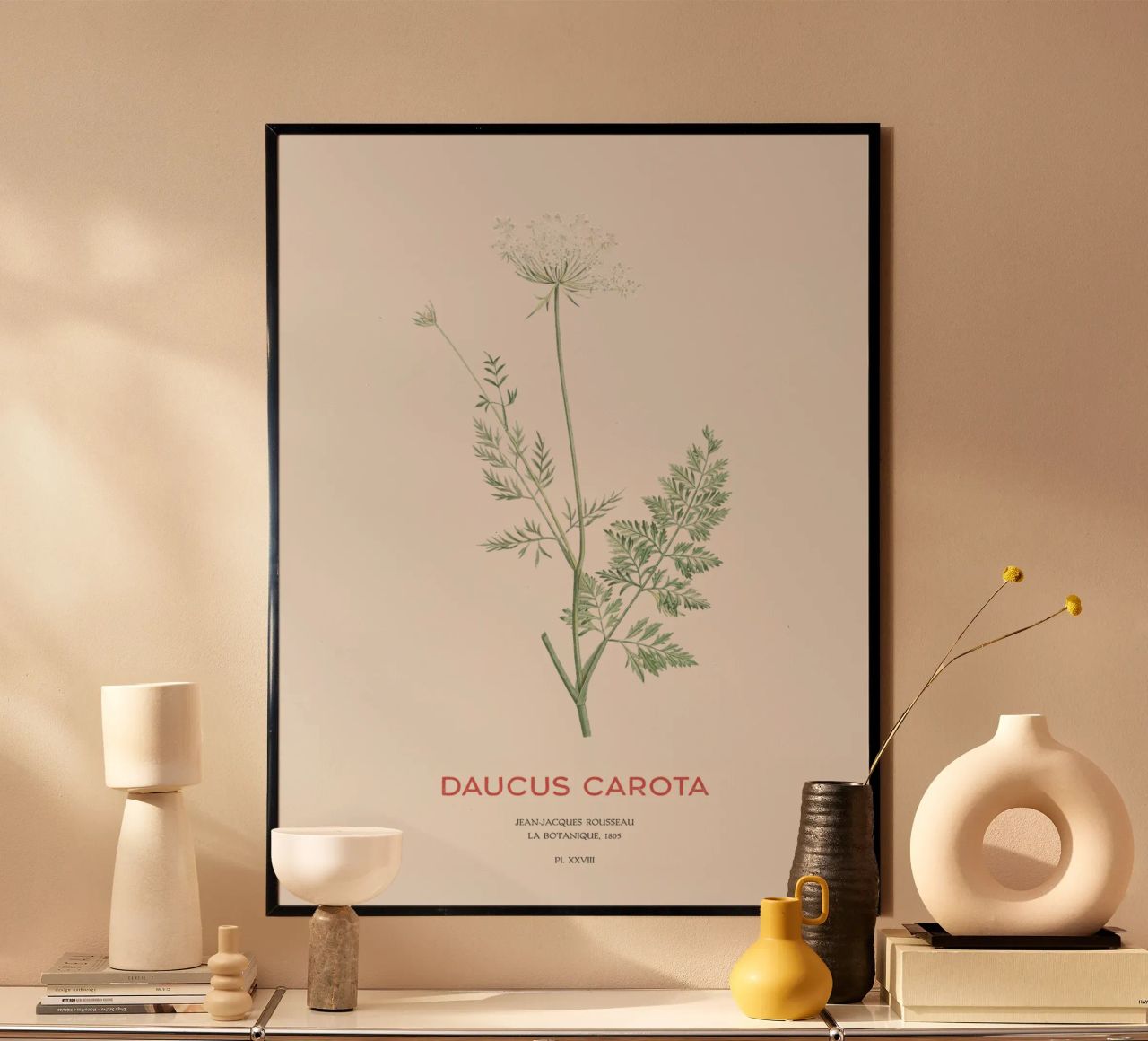 Wilde Möhre oder Daucus carota Poster von Vintagrafica