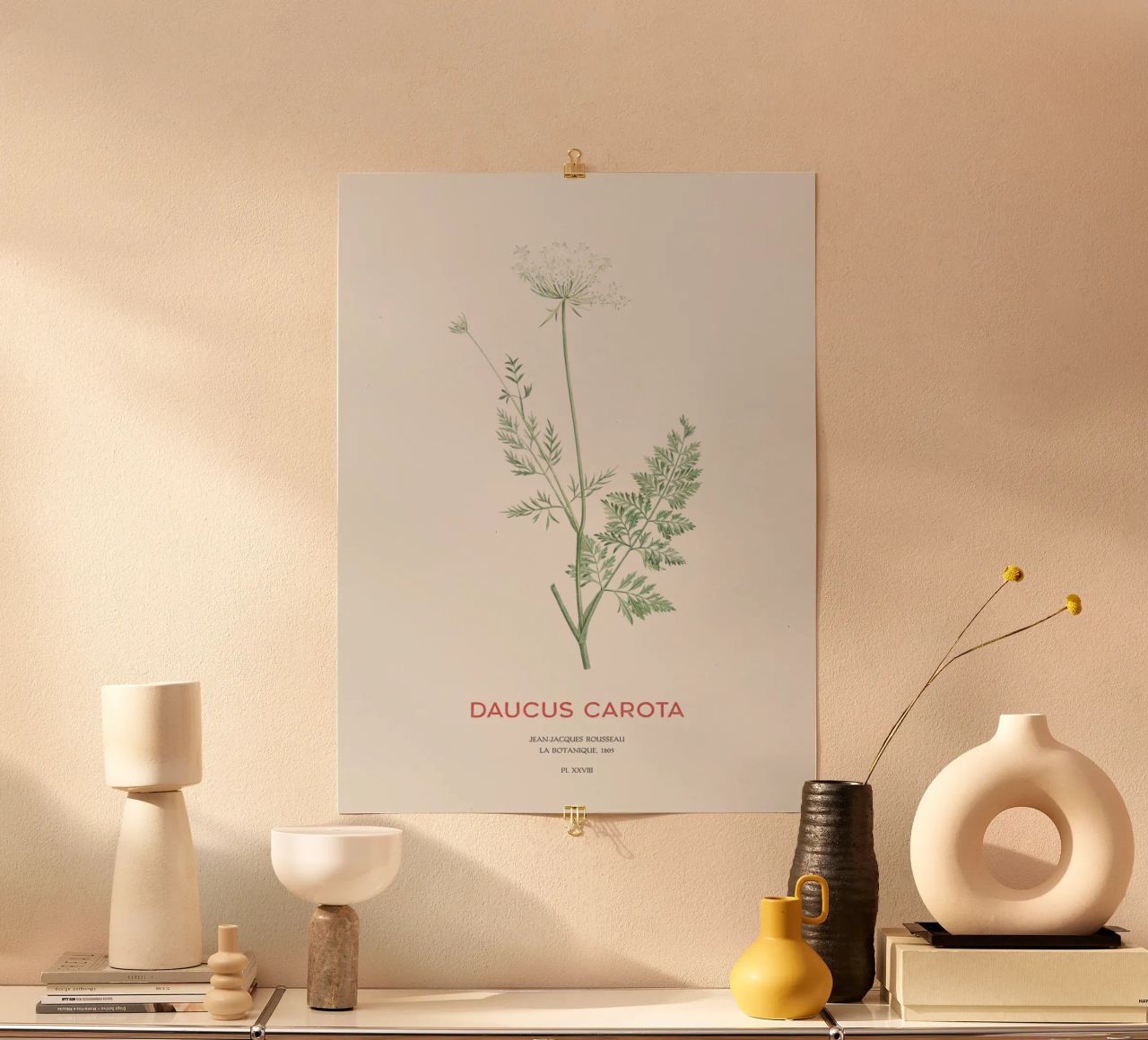 Wilde Möhre oder Daucus carota Poster von Vintagrafica