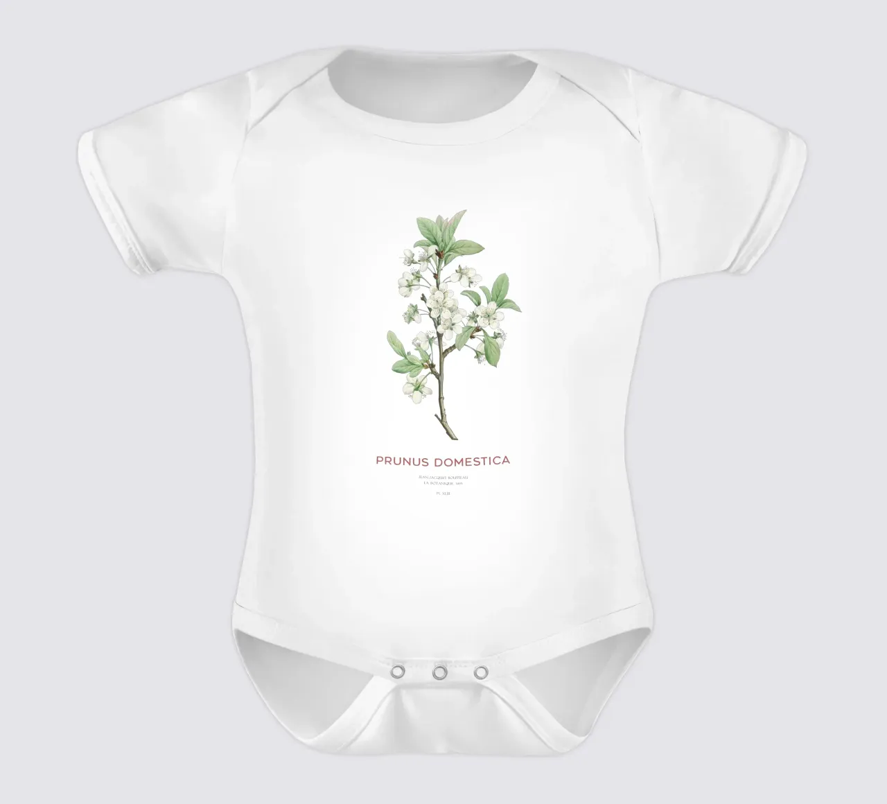 Pflaumenblüten oder Prunus domestica Kurzarm Babybody von Vintagrafica