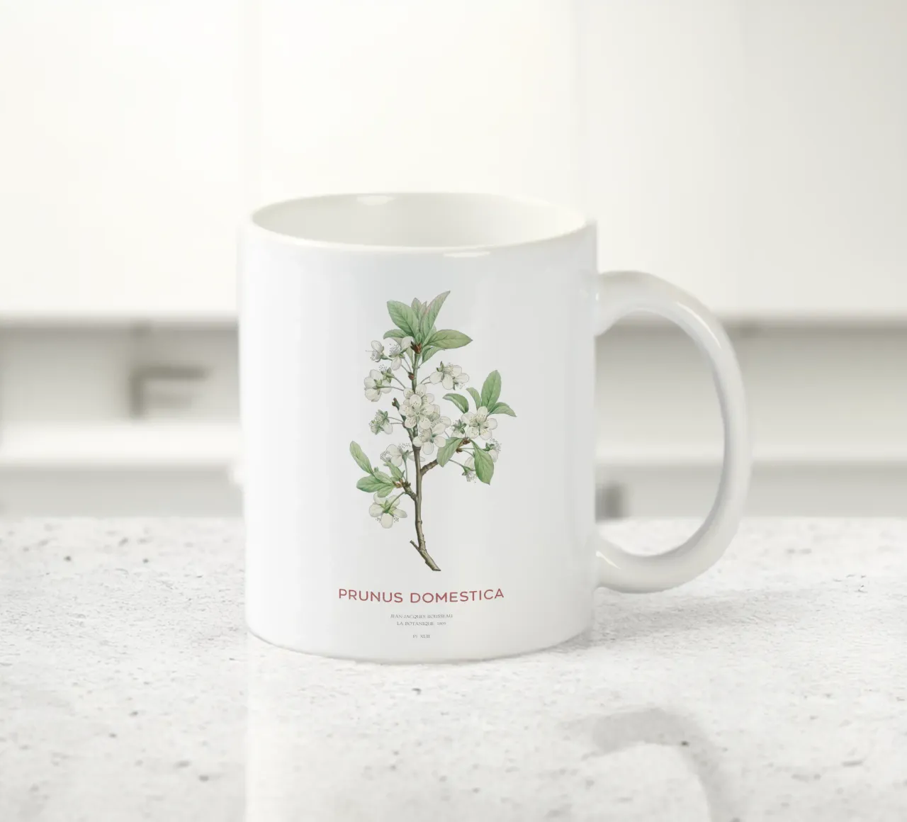Fiori di prugna o Prunus domestica tazza in ceramica da Vintagrafica