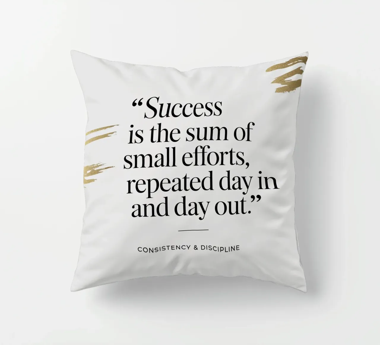 Success is the sum of small efforts, repeated day in and day decorative cushion by logic