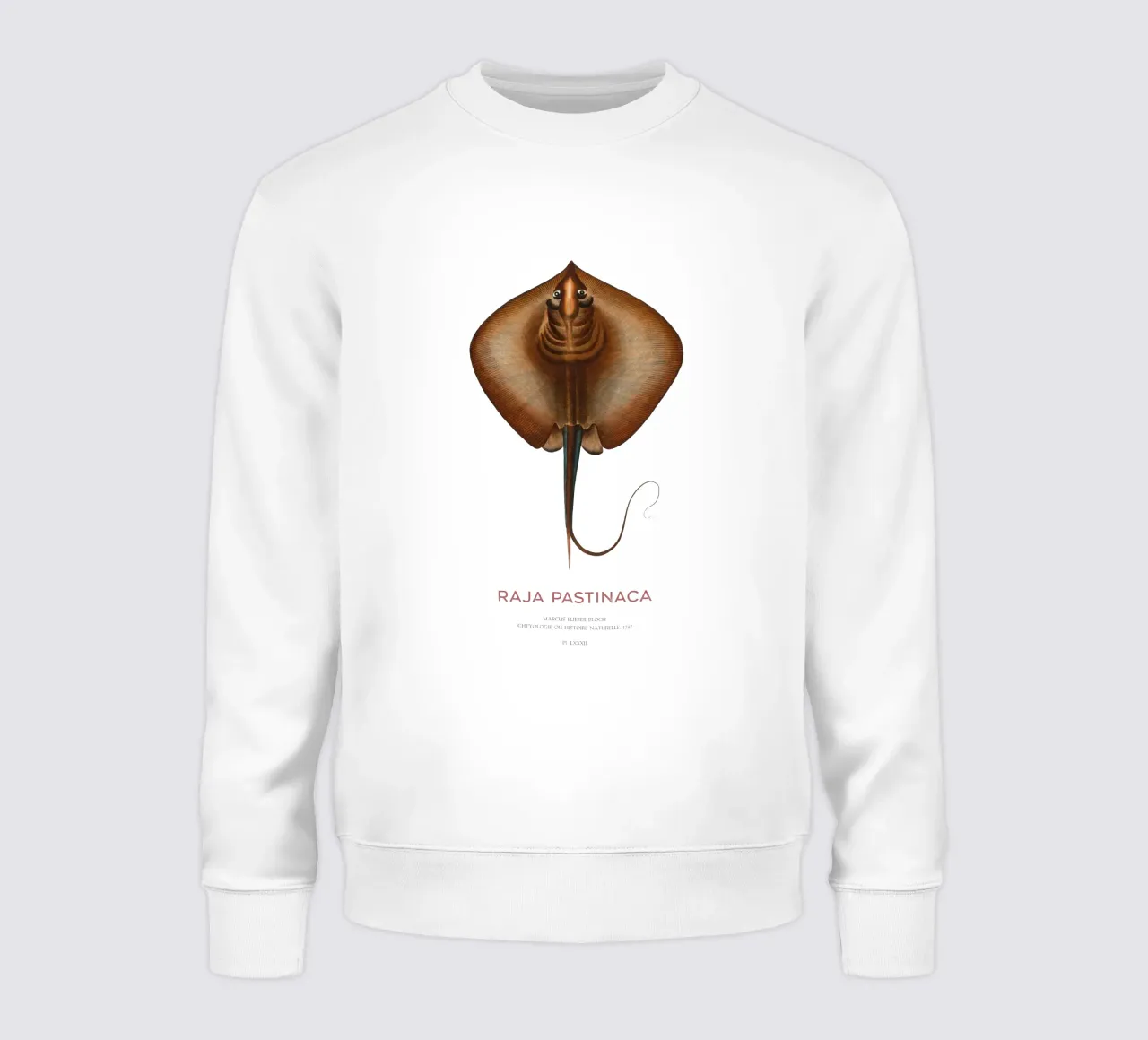 Mantarraya común o Raja pastinaca sudadera de Vintagrafica